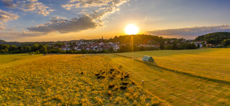 Leimen im Sonnenuntergang.PNG