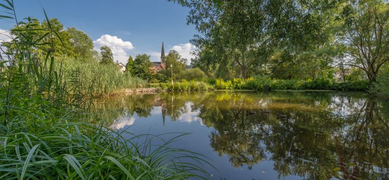 Münchweiler_Bürgerpark (4 von 1).jpg